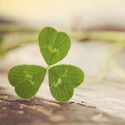 饮料市场分化加剧：农夫山泉增长，康师傅下滑丨消费参考